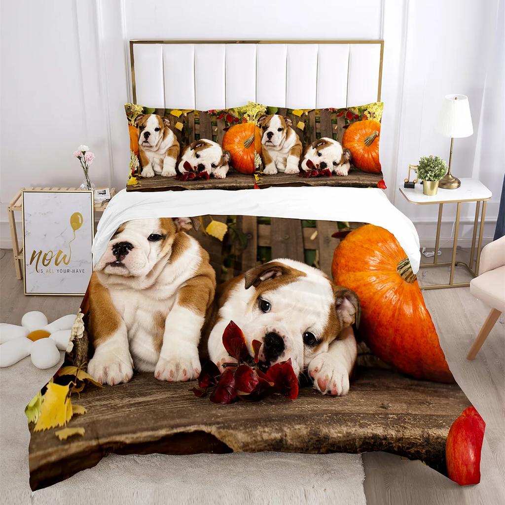 Cute Cat Bedding Comforter Set King Size,Duvet Cover For KidsTeens Boys Girls, Animal Pet Theme Bed Set +Pillowcases Bedclothes