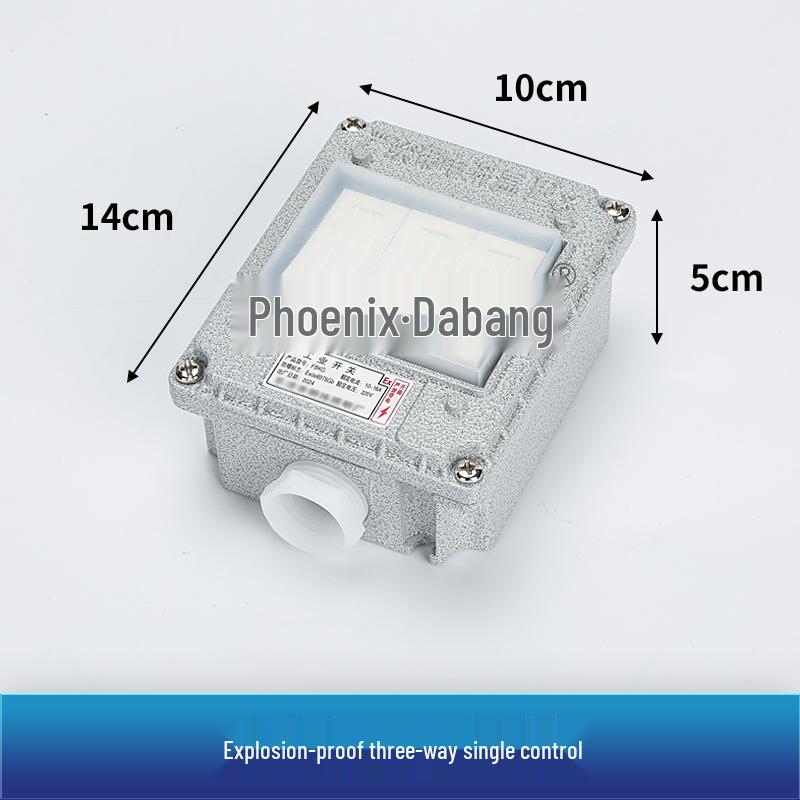 86 Type Industrial Explosion-Proof Wall Switch & Socket with Lighting Switch - EX Certified, 220V