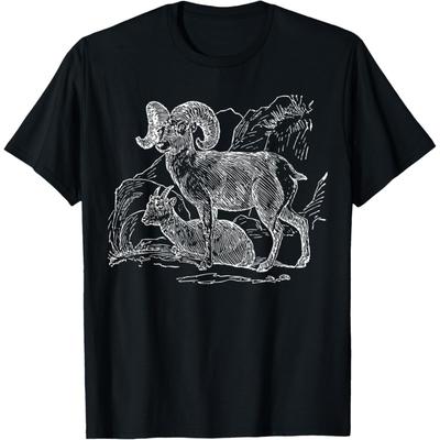 Koszulki i topy – T-shirty i koszulki