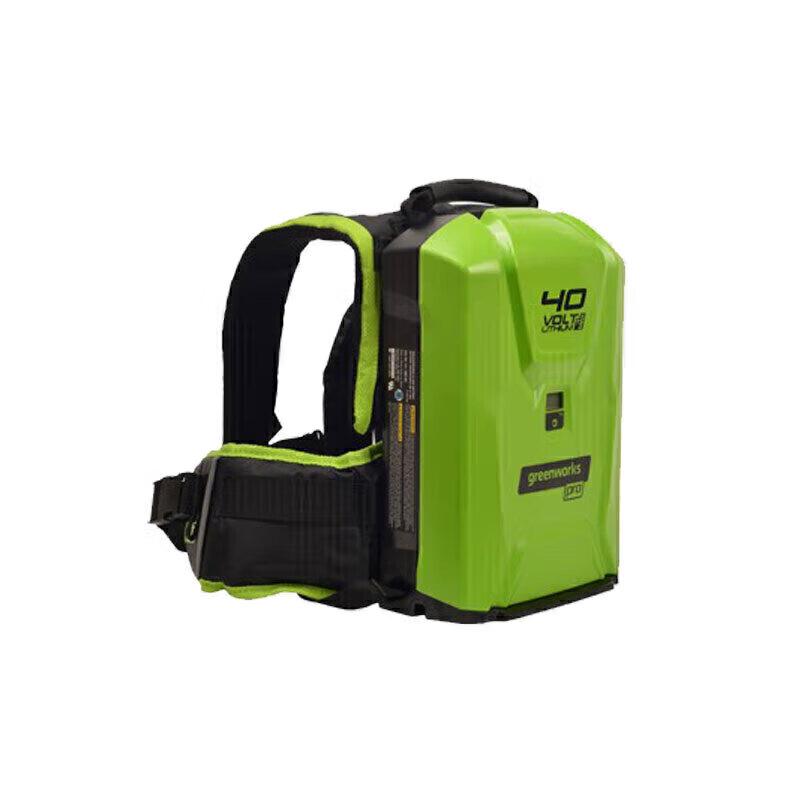Greenworks Lithium Battery Pack CN plug (adapter included)