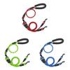 Guinzaglio in Nylon per Animali Domestici con Design a Maniglie Multiple per Passeggiate e Addestramento Cani