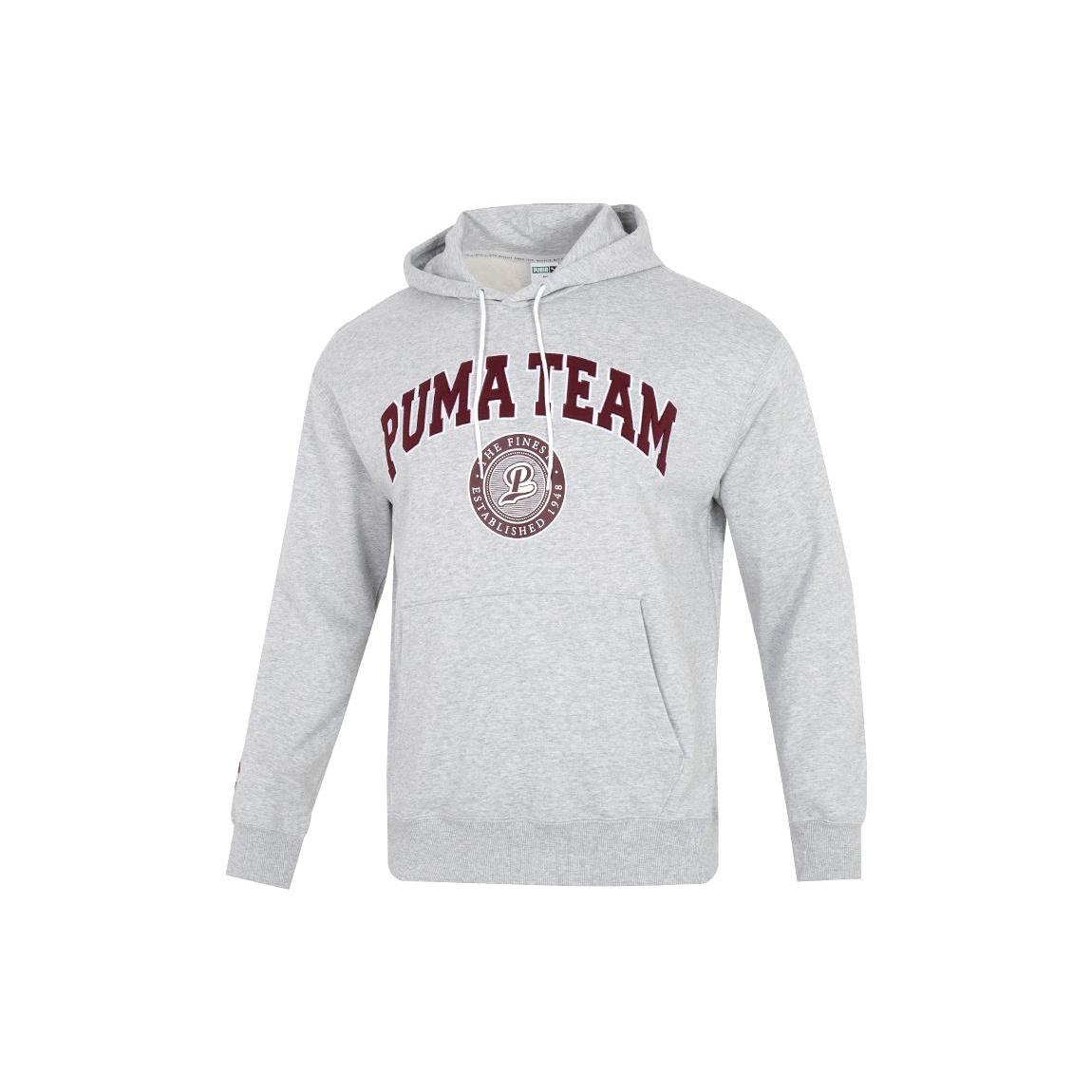 PUMA Team Hoodie Grey Men s 539274-04 S