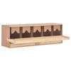 Day and Night - Day and Night Chicken Nesting Box 5 Compartments Pine Wood 117x33x38cm