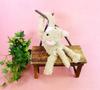 Shinada Daranyan Chashiro 7 X 15 X 20 Cm Stuffed Animal Goods DRNC-0198