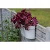 Plastic Balcony Box with Handle for Flowers
