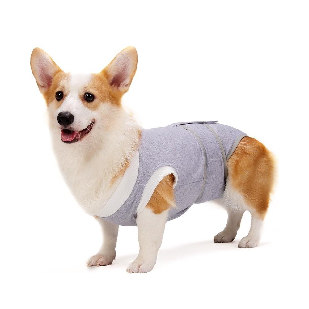 Anti-Licking Pet Physiological Pants Adjustable Dog Recovery Suit  Daily Wear