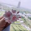 Four-Petal Cherry Blossom Car Aromatherapy Vent Clip Plaster Fragrant Stone Dream Car Ornament Air Outlet Decoration Female Driver
