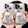 Süßes Haustier Süßer Welpe Hund Lila Für Iphone 16 Plus 15 14 13 12 Mini 11 Pro Max X XS XR 7 8 Plus 2022 Gehärtetes Glas Handyhülle