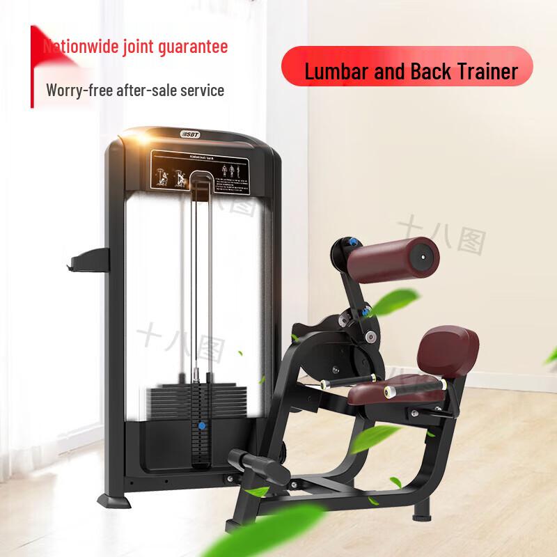 Shibatu TE31 Waist and Back Trainer