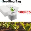 Eco-Friendly Seedling Grow Bags - 100 Pack Breathable Non-Woven Fabric Pots for Seedlings and Cuttings