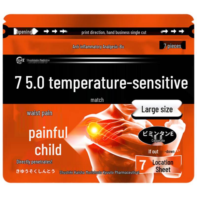 Shouchangtang Japanese Tech Health Patches