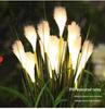 Solar LED Fiber Optic Reed Lamp for Outdoor Landscaping