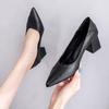 Autumn 2025 Women's Genuine Leather Korean Fashion Pointed Toe Slip-On Chunky Mid Heel Shoes
