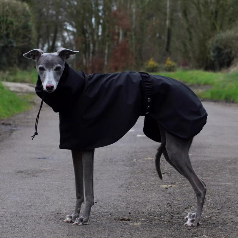 Spring and Autumn Outing Breathable and Comfortable Dobbin Dog Clothes Casual Warm Pet Raincoat Leisure Dog Cloak Raincoat