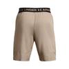 Under Armour Men's Woven Sports & Casual Shorts 1370382