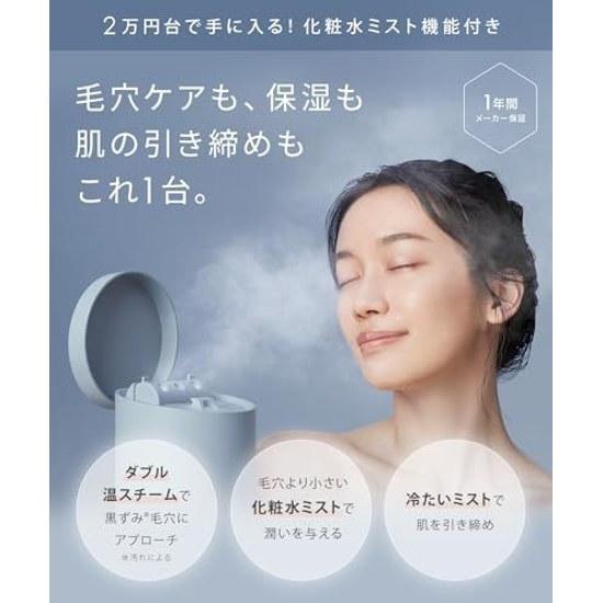 SALONIA EMS Lift Brush Pure Bright Steamer Gray Set Electric Face Beauty Device Scalp