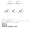 5Pcs Artificial Flocked Reusable Lambs Ear Faux with Stem Leaves Home Wedding Party Greenery Floral Arrangement