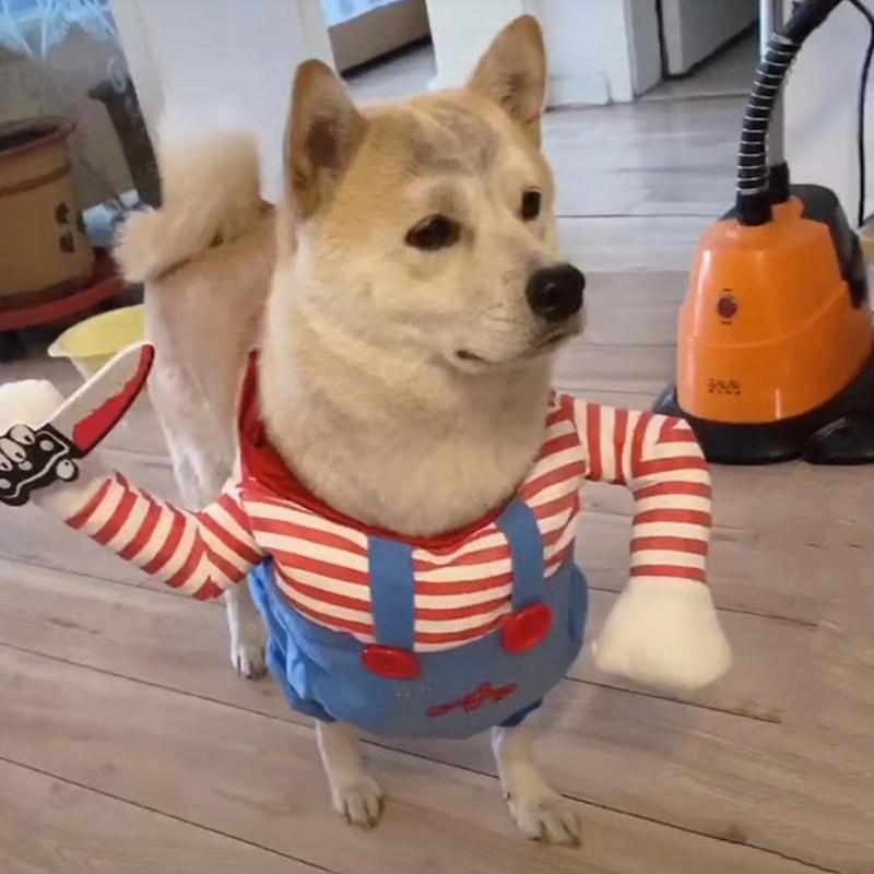 Funny Pet Costume Set Small Dogs Cats - Halloween Christmas Dress Up Outfit In Multiple Styles