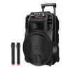 Newmine N509 Portable Outdoor Karaoke Speaker