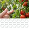 Greenhouse Plant Holders 100PCS Support Clips, Reusable Plastic Garden Flowers Seedlings Training Clips Snap Fastening for Climbing Plants And