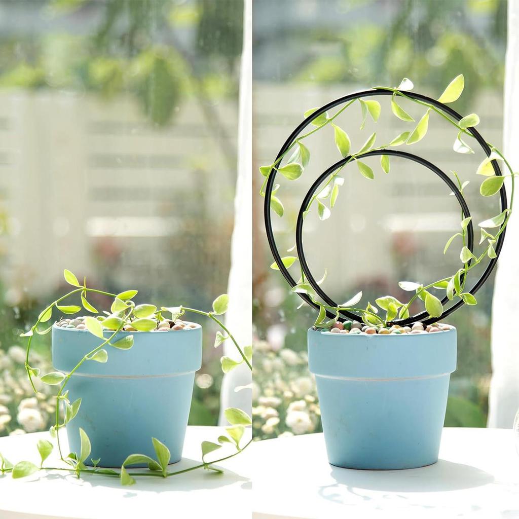 Garden Plant Support Stake Stand Round Vine Climbing Rack Iron heart-Shaped Flower Plant Trellis Support Frame Garden Decor