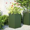 VidaXL Planters 2 Pcs Olive Green Hexagon 46x40x45 Cm Steel, Flower Planter, Patio Planter, Planter of 851115