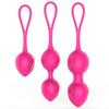 Remote Control Vibrator Vaginal Trainer Ball - Intimate Tightening Device for Adults