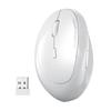 Sanwa Ergonomic Vertical 2.4G Wireless Mouse