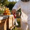 Beekeeper Stainless Steel Hive Tool With Flat Scraper And Pry Bar For Honey Harvesting