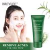 Natural Facial Cleansing Foam Oil Control Acne Cleanser