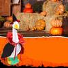 Halloween Witch Costume Set For Lawn Geese Halloween Vampire Lawn Goose Costume Halloween Party Ornaments Garden Decor