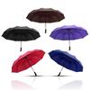 10 Ribs Automatic Travel Umbrella Auto Open Close Compact Folding Rain Windproof
