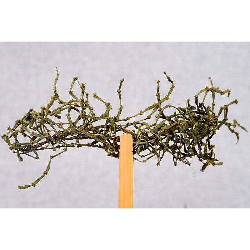 Bio-Yunnan-Pu'er-Tee, 500 g, loser Tee, gesundes Getränk