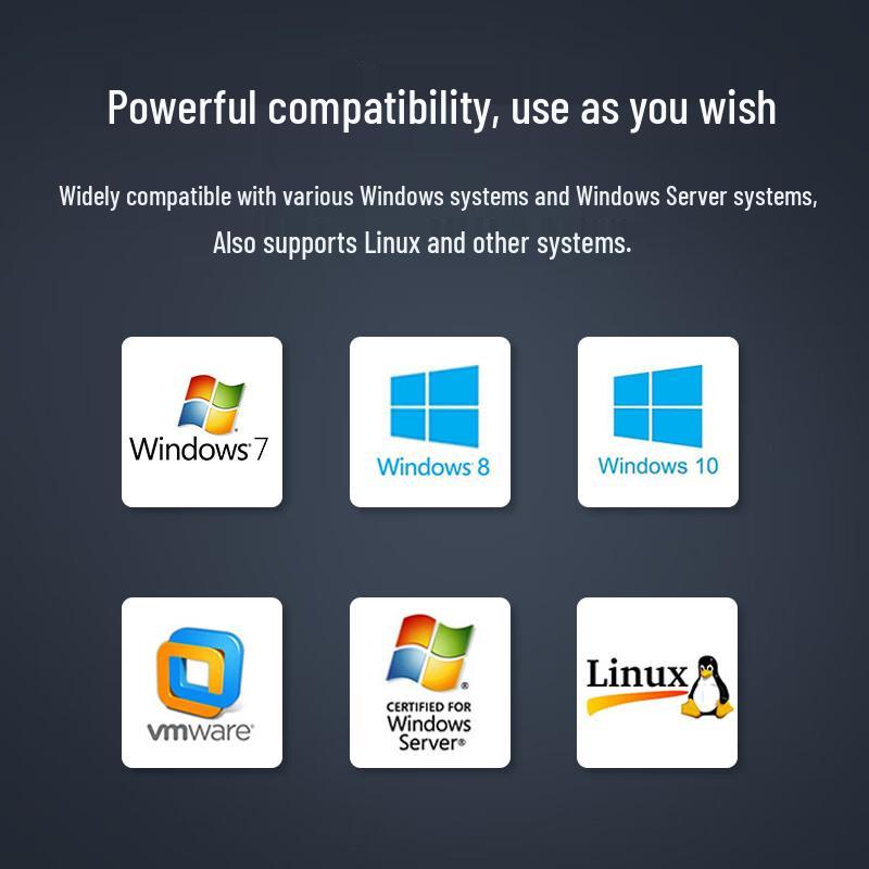 Hoodblue 10Gb Dual-Port PCIe Ethernet Network Card (CN Version)