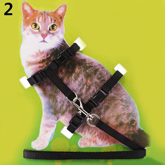 Fantastisches Nylon-Haustiergeschirr, Halsband, Leine, Traktions-Sicherheitsseil