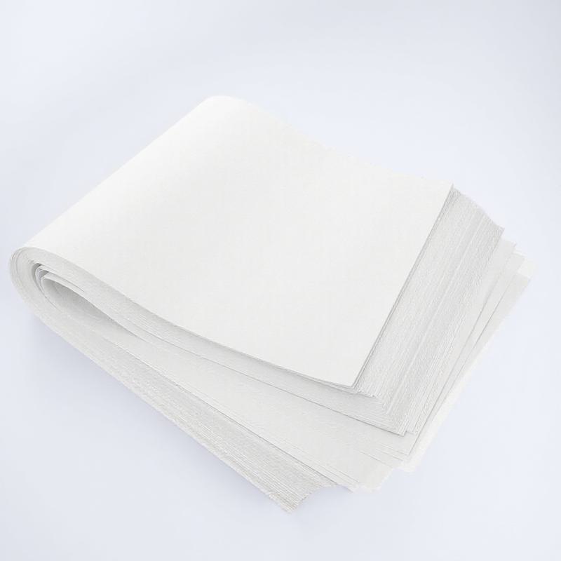 100Pcs 54x19.5cm Germination Sprouting Paper Durable Odorless for Soya Mung Bean Wheat Seedling Growing Sheets Farmers