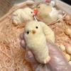 Cat Paw Plush Stress Relief Squeeze Toy - Handmade Simulation and Venting Toy