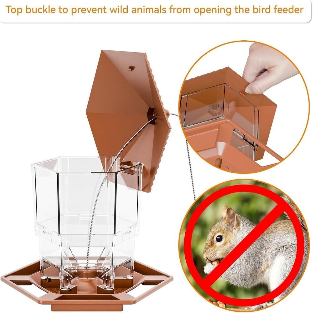 Transparent Hanging Bird Feeder Squirrel Proof Bird Food Container Bird Feeding Station  Backyard
