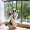 3 of Ni Cat Toy Cat Teaser Popular Cat Toy Fishing Rod (1) Replacement Feathers (3)