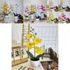 Realistic Artificial Orchid Arrangement With Small Round Pot For Indoor And Outdoor Decoration