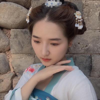 Haar-Accessoires – Haarklammern