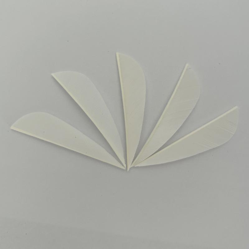 50Pcs Arrows 2.5Inch Turkey Feathers Fletching with Parabolic Water Drop RW Archery Feather for Hunting Bow Arrow Accessories 5