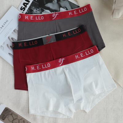 Boxer en coton pour hommes, sous-vêtements chauds, nouveau Boxershort pour hommes, Cuecas Masculina, taille L-3XL