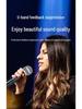 2025 Pro Dynamic Handheld Wireless Microphone for Karaoke & Stage
