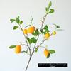 With Lifelike Lemon Fake Fruit Stems Fresh Green Yellow Simulation Green Plants  Home Decor