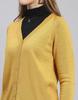 MONTE CARLO Mustard Mix Solid V Neck Sweater
