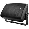 Lingsheng Professional 200W Amplifier with Wall Speakers (CN version)