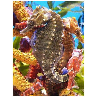 Pictura cu diamant Autocolante cu punct de cruce caluți de mare broderie cu diamant complet rotund