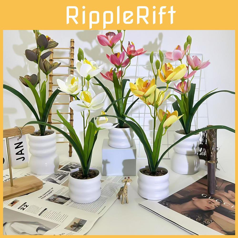 Simulation Cymbidium Faberi Rolfe Riverstones Bonsai For Photography Prop Use