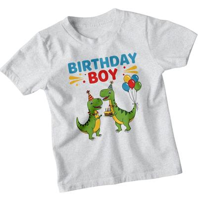 Birthday Boy Dinosaurs Birthday Boys T-Shirt Kids Dino Celebration Gift